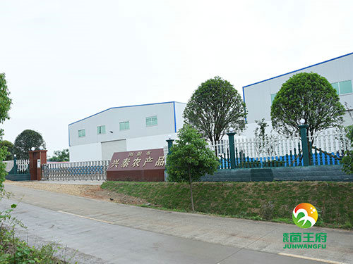 厂房厂貌