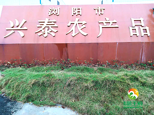 厂房厂貌3