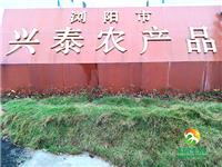厂房厂貌3