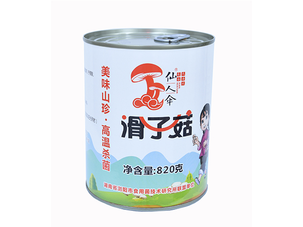 仙人伞滑子菇