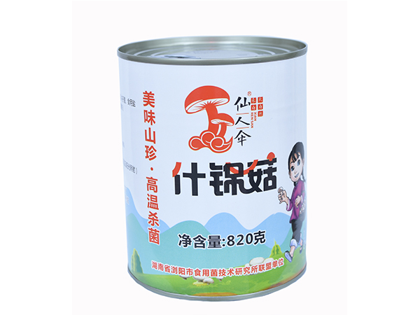 仙人伞什锦菇
